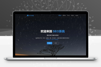 SEO站群系统免授权版，单页关键词排名网站源码