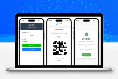 全开源自适应聚合收款单页源码